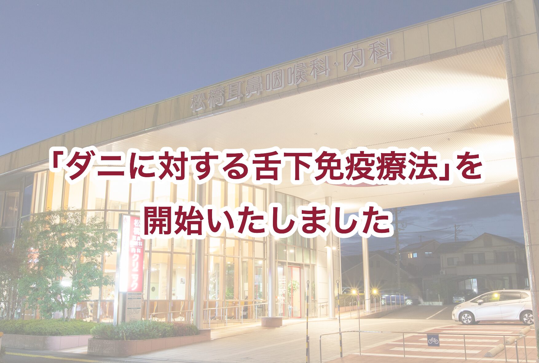 コラム：サムネイル画像