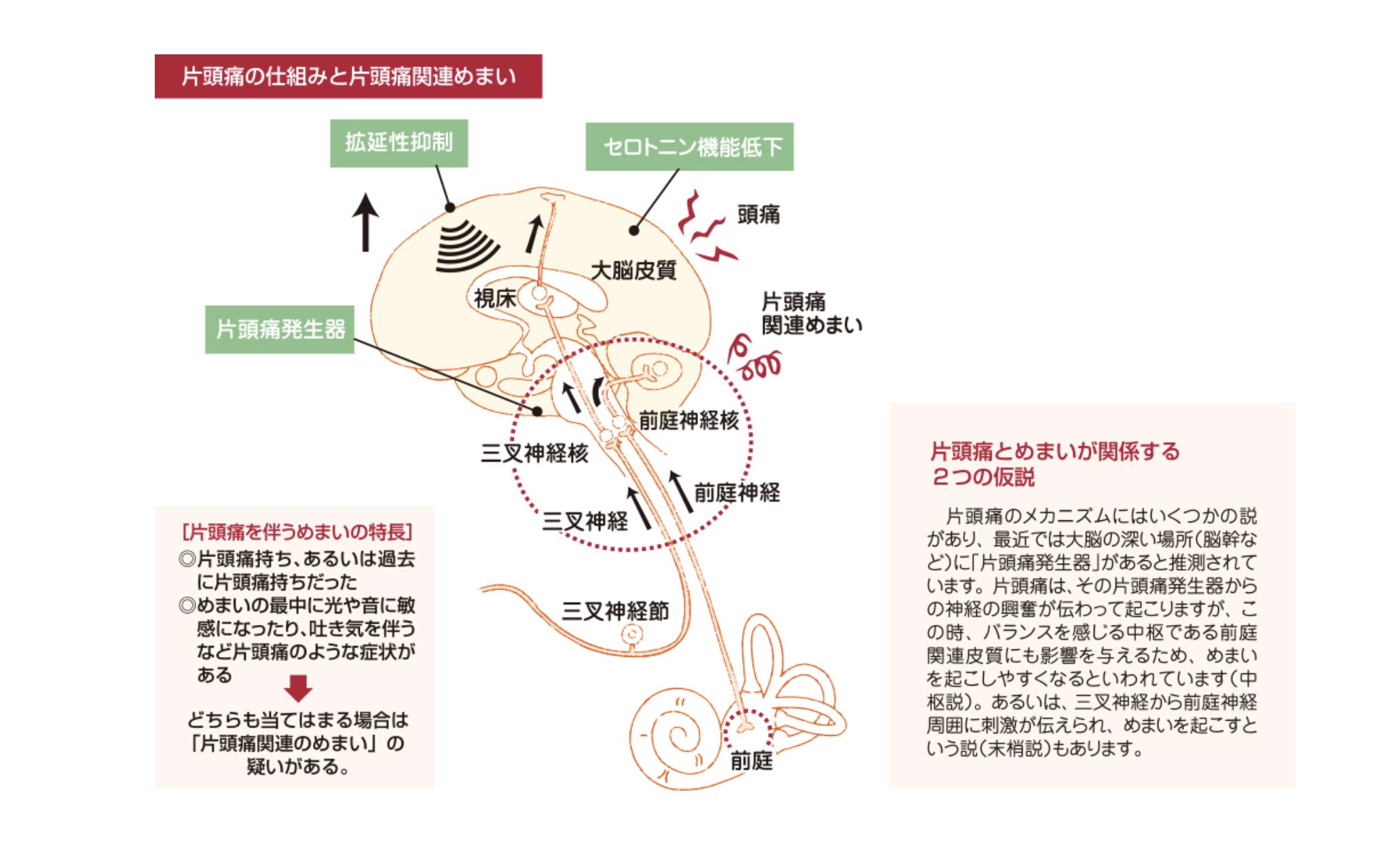コラム：サムネイル画像